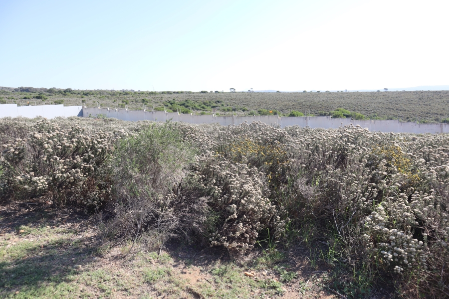 0 Bedroom Property for Sale in Blue Waters Estate Eastern Cape